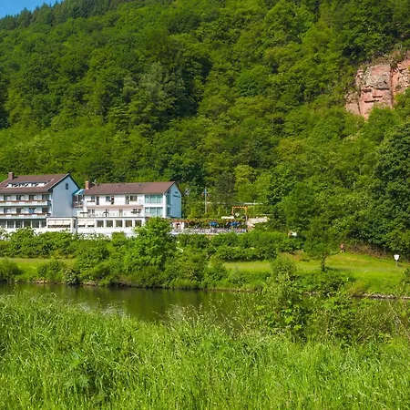 Vierburgeneck 3* Neckarsteinach