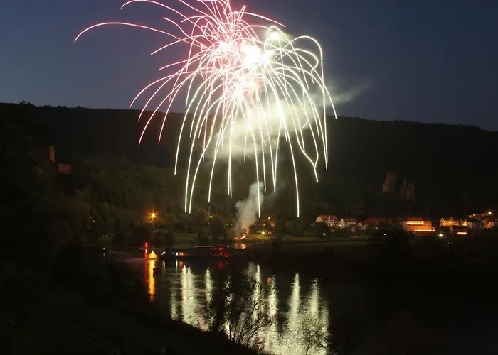 维亚堡根尼克酒店 3* 内卡尔斯泰纳