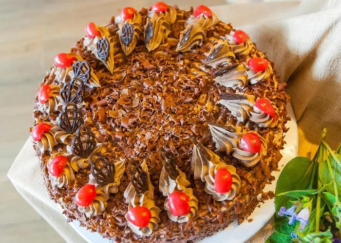 维亚堡根尼克酒店 酒店 3*