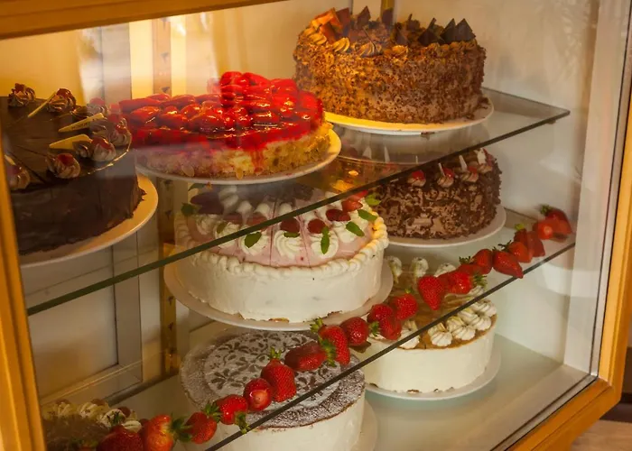 维亚堡根尼克酒店 3* 内卡尔斯泰纳