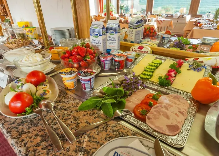 酒店 维亚堡根尼克酒店