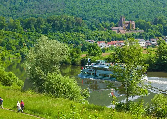 维亚堡根尼克酒店 3* 内卡尔斯泰纳