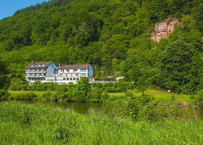 维亚堡根尼克酒店 3* 内卡尔斯泰纳